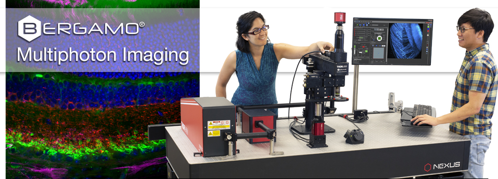 Bergamo® II Series Multiphoton Microscopes