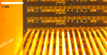 Optical Tweezers Force Module