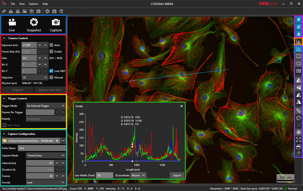 ThorImageCAM GUI Window