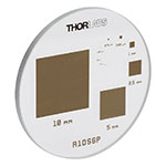 R1DS6P