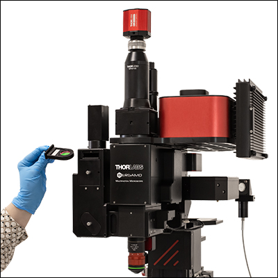 Bergamo III Filter Exchange
