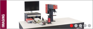 Laser Scanning Microscopy