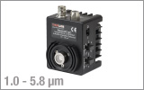 InAsSb Amplified Photodetector with TEC